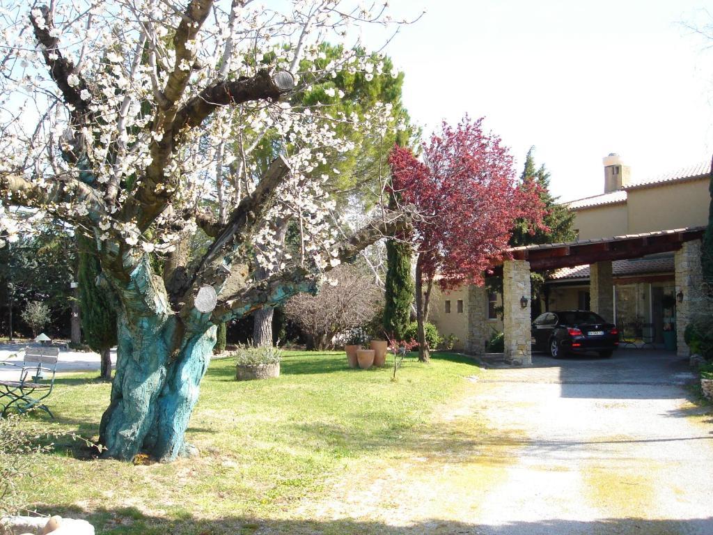 Hotel Bellerive Rasteau Dış mekan fotoğraf